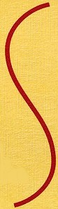 S logo